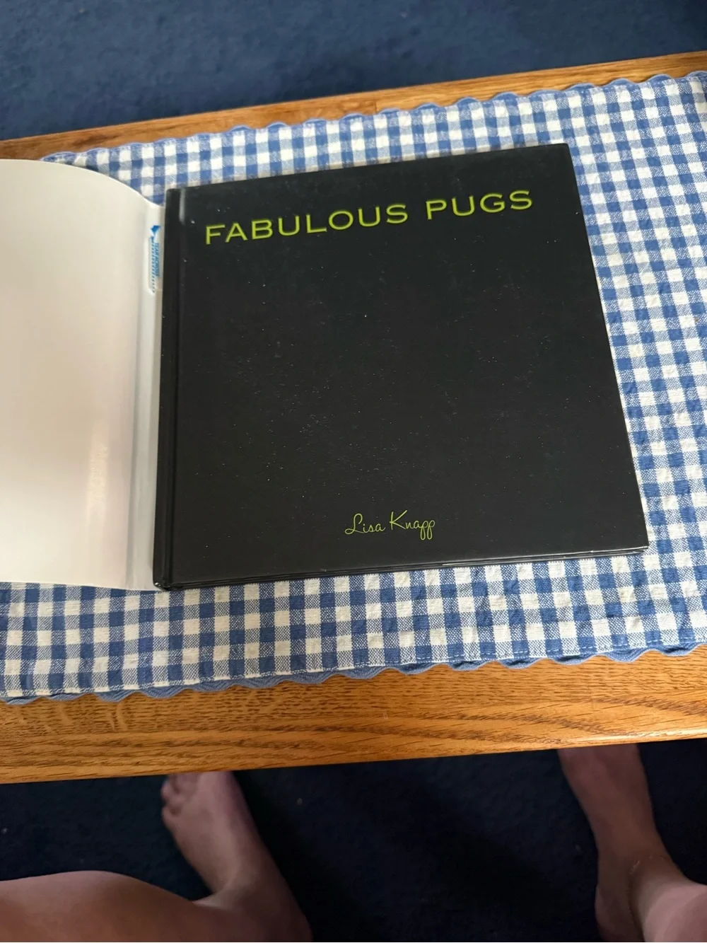 Fabulous Pugs by Lisa Knapp (2006, Hardcover)